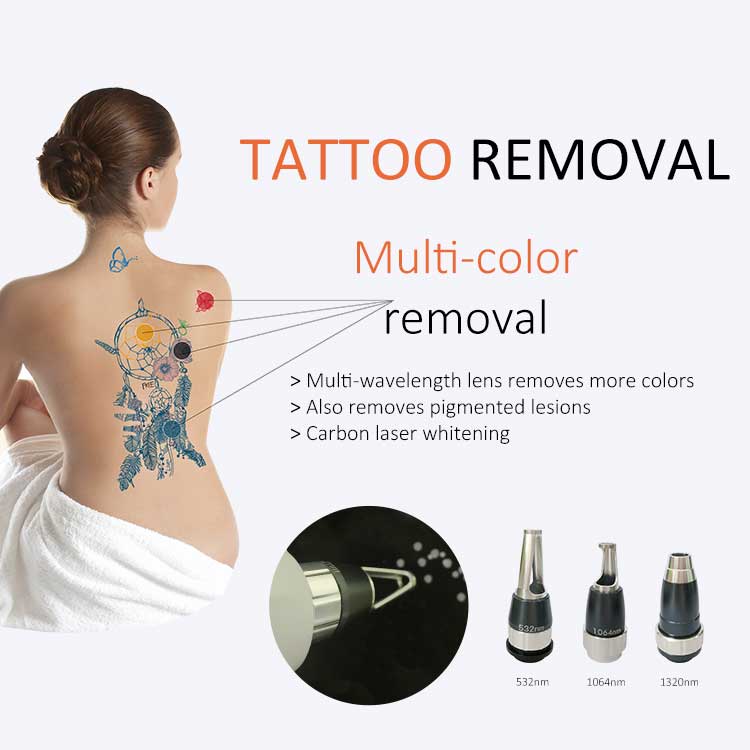 DL900 PRO-Nd Yag Tattoo Removal +Diode Laser Hair Removal